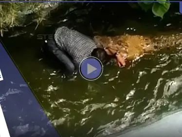 بالفيديو|| لحظات تحبس الأنفاس.. تمساح ينقض على سائح ويهاجمه بعنف بعد اقتراب الأخير منه ظناً أنه بلاستيكي - وكالة ستيب نيوز