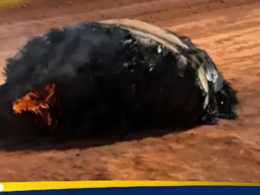 سقط من الفضاء.. العثور على جسم غامض محترق في صحراء أستراليا - وكالة ستيب نيوز