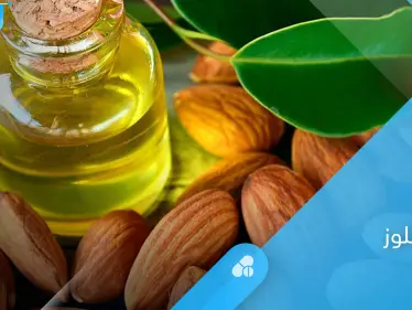 تعرف على فوائد زيت اللوز للبشرة والشعر وفوائد أخرى كثيرة - وكالة ستيب نيوز