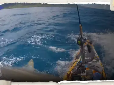 شاهد بالفيديو.. لحظة مرعبة لهجوم قرش على قارب صيد صغير - وكالة ستيب نيوز