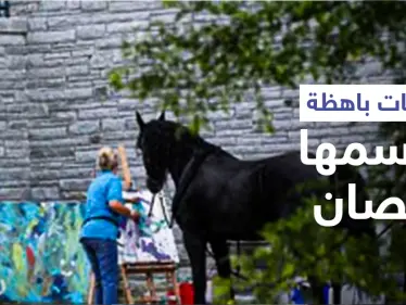 من متمرد إلى فنان موهوب.. الحصان الرسام يبيع لوحاته بأسعار باهظة ومدربته تروي قصته - وكالة ستيب نيوز
