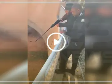 مشاهد تحبس الأنفاس.. وافد سوداني بين "أنياب النمر" في السعودية (فيديو) - وكالة ستيب نيوز