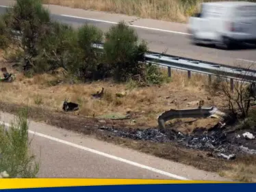 إسبانيا تحدد سبب حادث وفاة ديوغو جوتا - وكالة ستيب نيوز