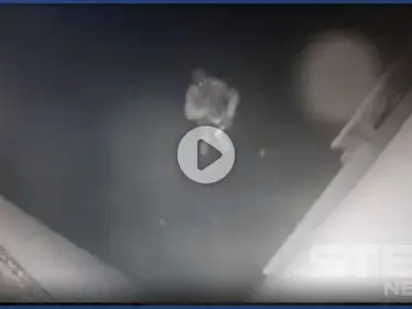 بالفيديو|| كاميرا مراقبة توثق قيام شخص مجهول بمحاولة حرق مسجد في فرنسا واشتعال النيران - وكالة ستيب نيوز