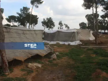 موجز أخبار الوضع السوري ليوم الأربعاء 27-02-2019 - وكالة ستيب نيوز