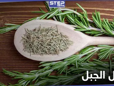 تعرّف على فوائد إكليل الجبل للصحة الجنسية للرجال وتحذير خطير من استخدامه للنساء - وكالة ستيب نيوز