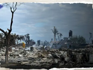 شاهد|| قفزوا إلى المحيط هرباً من ألسنة اللهب.. ارتفاع حصيلة قتلى حرائق هاواي - وكالة ستيب نيوز