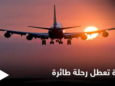 حشرة تظهر كل 17 عام تعطل رحلة طائرة أمريكية ومصادر تكشف التفاصيل - وكالة ستيب نيوز