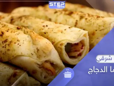 شاورما الدجاج.. أسهل وأسرع طريقة لصنعها بالمنزل - وكالة ستيب نيوز