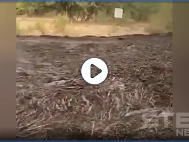 بالفيديو|| سيل أسود جارف في ولاية أريزونا الأمريكية بعد كارثة بيئية - وكالة ستيب نيوز