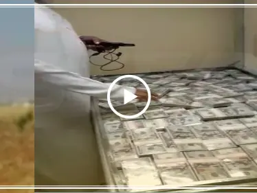 ما حقيقة فيديو صناديق الدولارات المصادرة في دبي.. هل حقًا مسروقة من خزينة العراق (فيديو) - وكالة ستيب نيوز