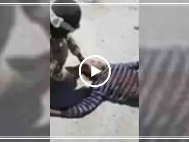 تفاصيل وفيديو جديد يحبس الأنفاس عن الضحية الذي نكل الروس بجثته بحقل الشاعر (فيديو) - وكالة ستيب نيوز