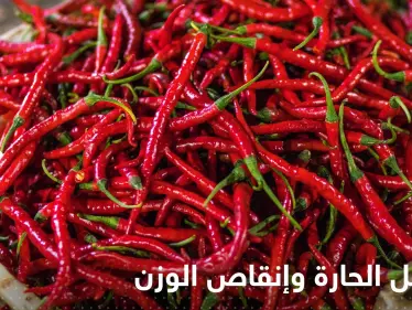 هل التوابل الحارة تساعد في إنقاص الوزن؟.. خبيرة تحسم الجدل - وكالة ستيب نيوز