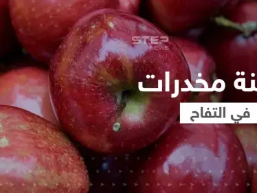 محكمة مصرية تصدر حكماً قوياً على عصابة هرّبت المخدرات من سوريا من خلال "التفاح" - وكالة ستيب نيوز