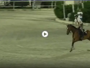 بالفيديو|| الحصان تعبان.. منال الأسد تبرر خروج أحمد حمشو من أولمبياد طوكيو بعد وقوعه بالملعب - وكالة ستيب نيوز