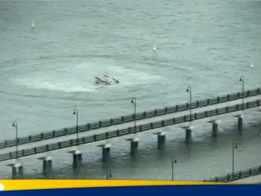شاهد|| سقوط مروع.. ترامب يعلق على حادث مروحية نيويورك ويقطع وعدا - وكالة ستيب نيوز