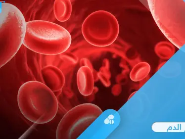 ما هو فقر الدم وأهم الأسباب المؤدية إليه وأبرز طرق العلاج إليك أهم المعلومات - وكالة ستيب نيوز
