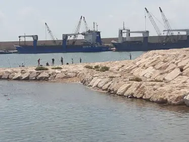 ميشال عون يتحدث عن إحباط أكبر عملية تهريب مخدر الحشيش.. وقصر بعبدا يكشف الوجهة - وكالة ستيب نيوز