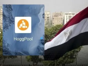 في عملية احتيال كبيرة.. منصة "هوج بول" تسرق مئات المصريين - وكالة ستيب نيوز