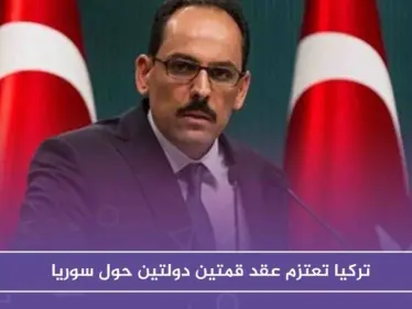 تركيا تعتزم عقد قمتين دولتين حول سوريا - وكالة ستيب نيوز