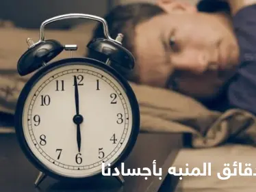 "تغفو، تخسر".. دراسة تكشف ماذا يحدث في أجسامنا عند الضغط على زر الغفوة - وكالة ستيب نيوز