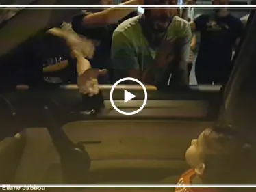 صحيفة بريطانية: فيديو "Baby Shark" هو المفضل في الاحتجاجات اللبنانية - وكالة ستيب نيوز