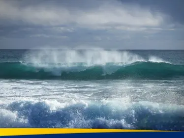 كارثة وشيكة تهدد البشرية بحلول 2050.. تقرير يكشف ما يحدث في مياه المحيطات - وكالة ستيب نيوز