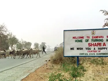 أ ف ب: عملية خطف جماعي جديدة في مدرسة شمال غرب نيجريا - وكالة ستيب نيوز