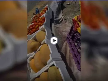 بالفيديو|| مواطن يحرج بائعة خضار مسنة ويقوم بتصويرها والتنمر عليها.. وإجراء قانوني عاجل بحقه - وكالة ستيب نيوز