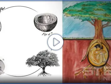 فيديو || إيطاليان يخترعان كبسولة دفن تحول جثتك إلى شجرة بعد موتك - وكالة ستيب نيوز