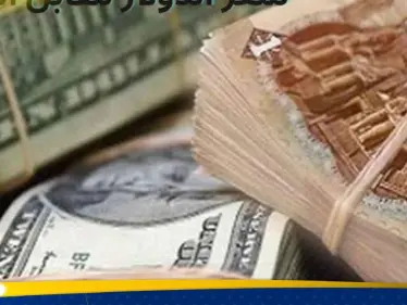بعد قرار التعويم.. إليك سعر الدولار مقابل الجنيه المصري في السوق السوداء - وكالة ستيب نيوز