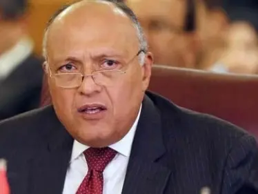 وزير الخارجية المصري يحذّر من ملء إثيوبيا سد النهضة ويعرض على غوتيرش سبل الحل - وكالة ستيب نيوز