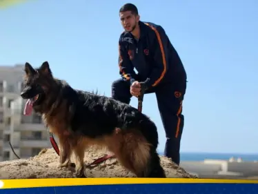 "كلاب ضخمة بمنازل غزة".. صحيفة عبرية تكشف عن ظاهرة جديدة يواجهها الجيش الإسرائيلي - وكالة ستيب نيوز