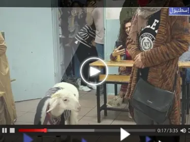 بالفيديو|| برفقة ماعزها.. مواطنة تركية تصوّت في الجولة الثانية من الانتخابات التركية - وكالة ستيب نيوز