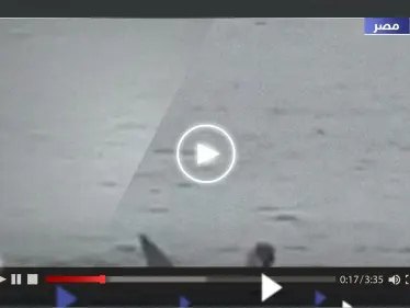 شاهد || قرش يلتهم سائح روسي قرب شاطئ الغردقة بمصر - وكالة ستيب نيوز