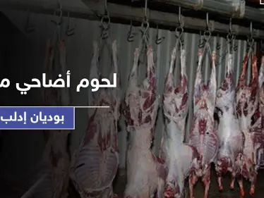 بالصور|| منظمات ترمي أطنان من لحوم الأضاحي الفاسدة بوديان إدلب والمخيمات لم ترى منها شيء - وكالة ستيب نيوز