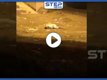 بالفيديو || أثار الذعر بين المواطنين.. رجل يسقط على الأرض في السعودية - وكالة ستيب نيوز