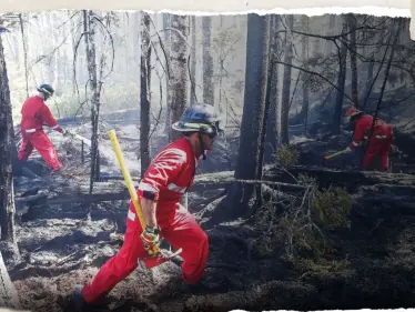 إذا كنت بهذه المدينة فأنت في أكثر مدن العالم تلوثاً بالهواء - وكالة ستيب نيوز