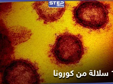 روسيا تكشف عن رصد 1424 سلالة من فيروس كورونا في البلاد - وكالة ستيب نيوز