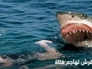 بالفيديو|| "صدمة" الناس على شاطئ استرالي بعد مهاجمة سمكة قرش لفتاة نزلت للبحر - وكالة ستيب نيوز