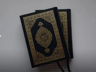 تحرك عربي بعد قيام حركة متطرفة بتمزيق نسخة من المصحف في هولندا - وكالة ستيب نيوز