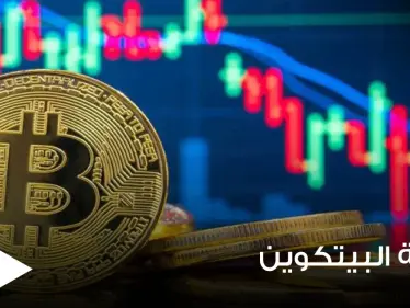 لو انهارت قيمة بيتكوين حتى الصفر.. ماذا سيحدث ما التداعيات المتوقعة - وكالة ستيب نيوز
