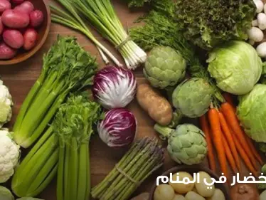 تعرف إلى تفسير أكل الخضار في المنام بكافة الوضعيات والأفراد - وكالة ستيب نيوز