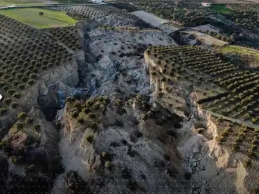 بالفيديو|| "وادي ضخم" يتشكل بمزرعة زيتون في هاتاي التركية بسبب الزلزال - وكالة ستيب نيوز