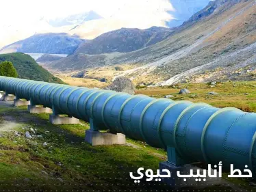 إيقاف خط أنابيب حيوي ينقل الخام من كندا إلى أمريكا.. وتقلبات بالسوق العالمية للنفط - وكالة ستيب نيوز