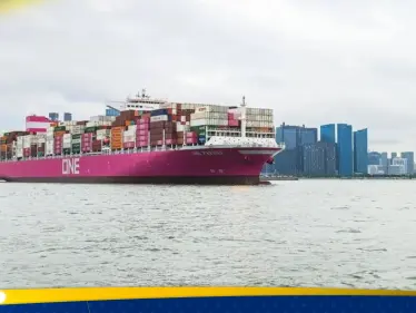 بعيداً عن قناة السويس.. شركة شحن يابانية تُحوّل مسار سفنها - وكالة ستيب نيوز