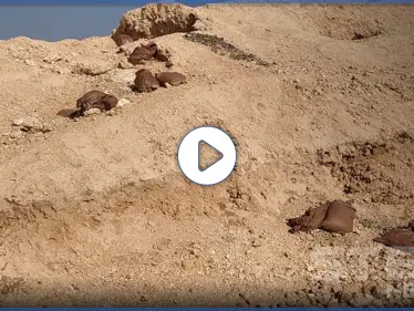 بالفيديو||عدسة "ستيب" توثّق ما فعلته القوات التركية بأراضٍ زراعية عقب إنشاء نقاط مراقبة عليها شمال الرقة - وكالة ستيب نيوز