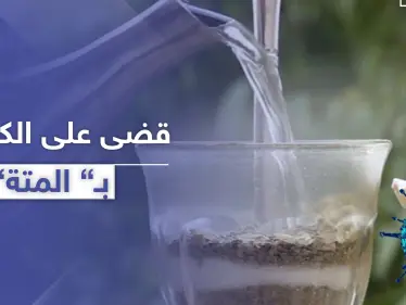 بكاسة متة ساخنة.. شاب سوري يقضي على فيروس كورونا وهذا ما فعله بعد التعافي - وكالة ستيب نيوز