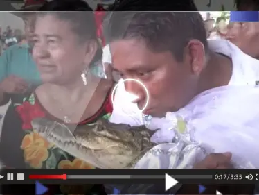 بالفيديو|| مسؤول مكسيكي يتزوج من أنثى التمساح ضمن احتفالات تقليدية غريبة - وكالة ستيب نيوز