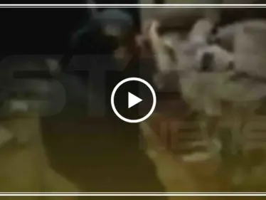 شاهد بالفيديو لحظة سقوط القذائف التي أطلقت من الجانب السوري على الأراضي التركية - وكالة ستيب نيوز